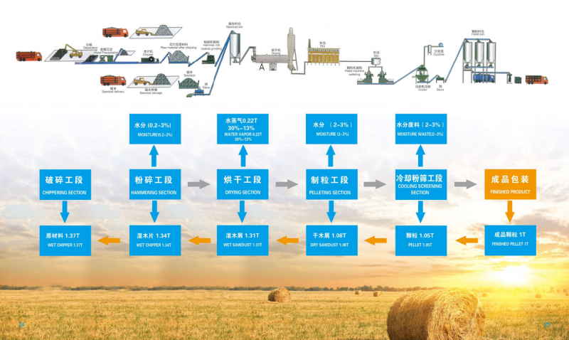 B体育宣传册_13 - 副本.png